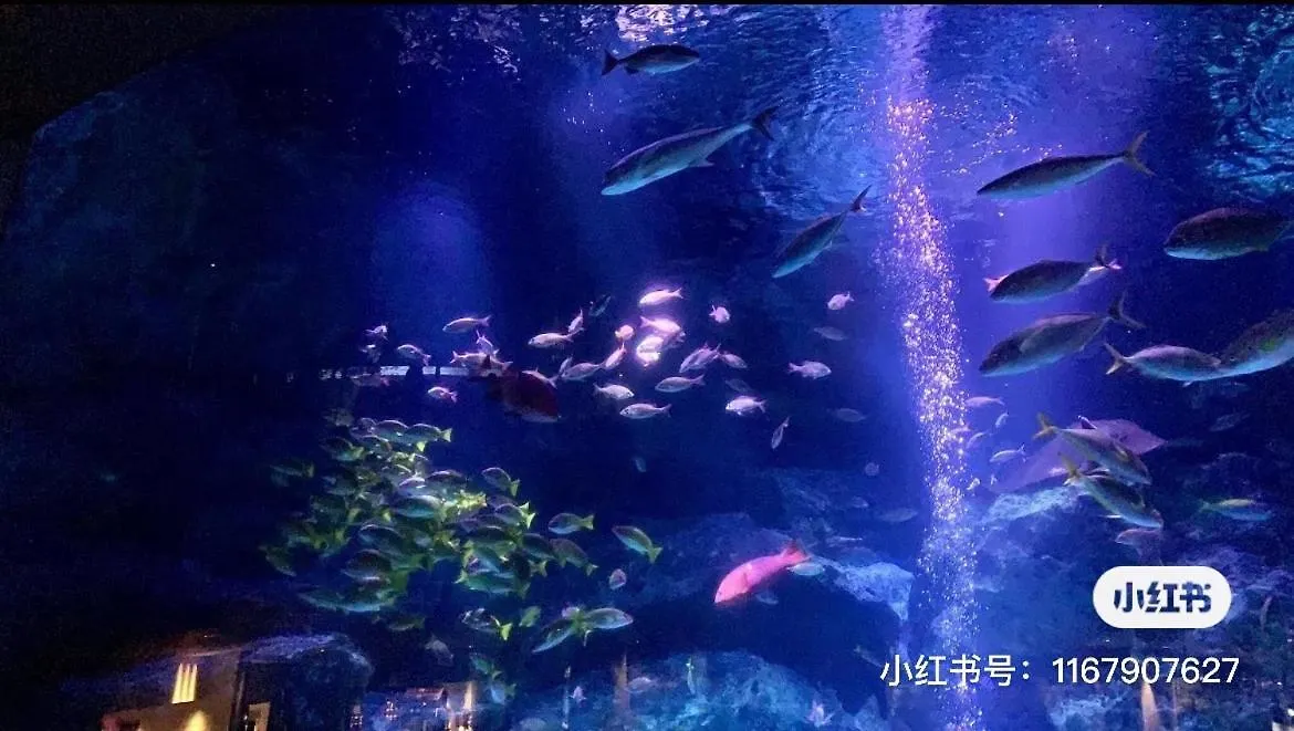 Διαμέρισμα 03#睛空塔热门旅游景区 最近车站步行3分钟 机场直达 周边有便利店 商场 温泉 购物餐饮方便 Τόκιο